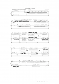 Torrent of Images for Solo Piano z 5